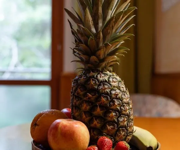 Restaurant Sudrast Dreilandereck Hotel 2*